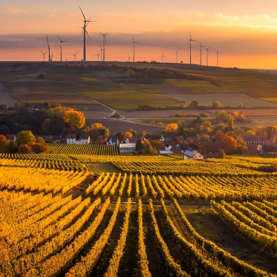 MERMEC GROUP | our-group-sustainability