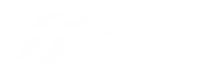 MERMEC GROUP | logo_FSI